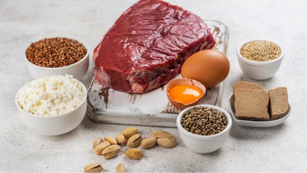 Why You Need Protein To Lose Weight