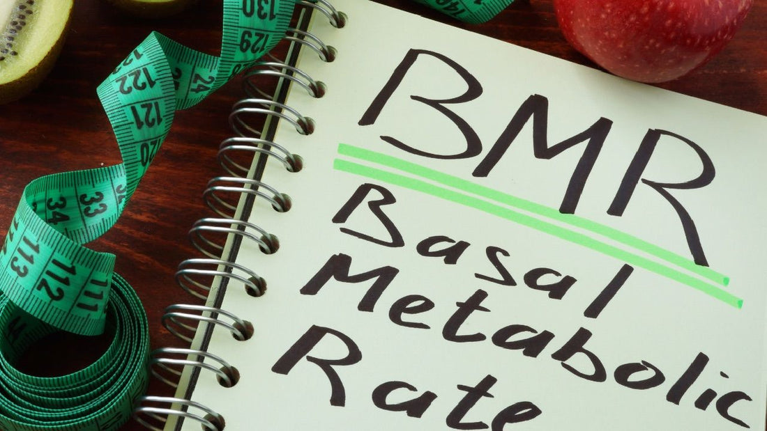 BMI vs BMR